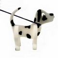 Dalmatian Dog on a Leash